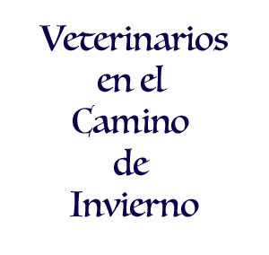 Veterinarios del Camino de Invierno