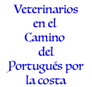 Veterinarios Camino Portugués por la Costa