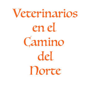 Veterinarios en el Camino del Norte