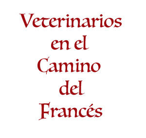 Veterinarios del Camino Francés