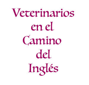 Veterinarios del Camino Inglés