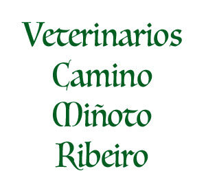 Veterinarios Camino Miñoto Ribeiro