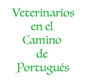 Veterinarios del Camino Portugués