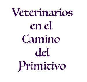 Veterinarios del Camino Primitivo