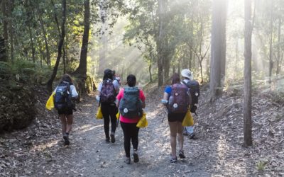 Los peregrinos del Camino de Santiago reciclaron en Galicia 117 toneladas de envases este verano