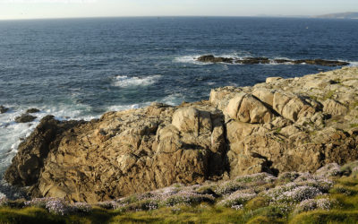 Seguir por mar los pasos del Apóstol de Andalucía a Galicia